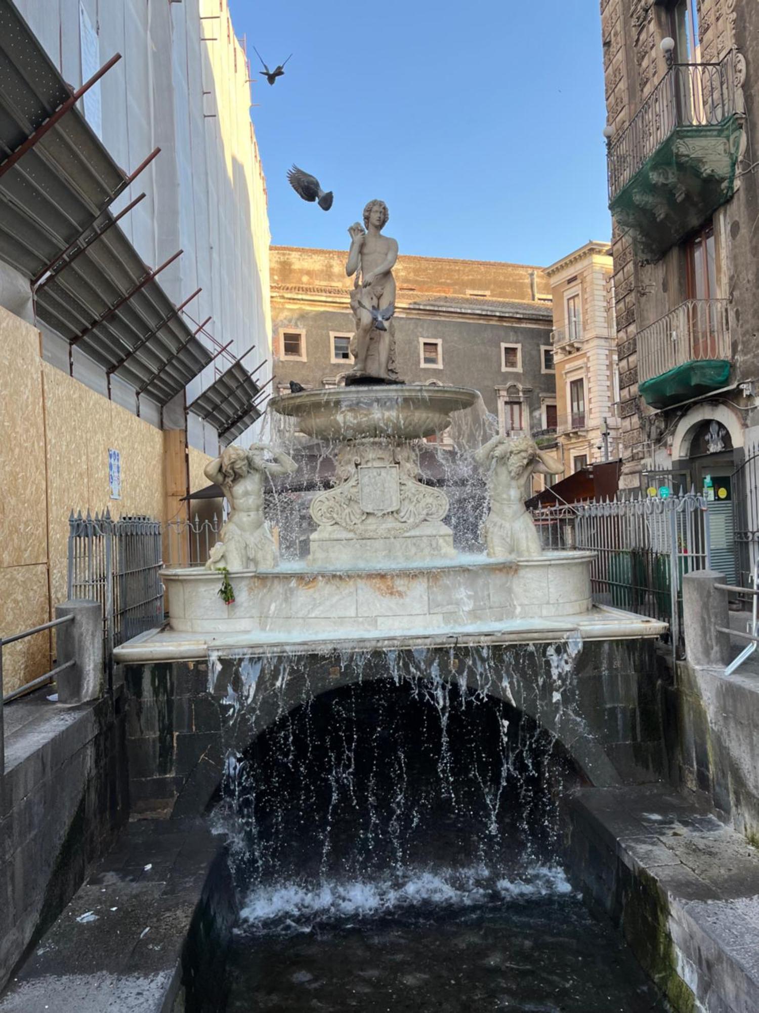 Elephant'S Rooms קטאניה מראה חיצוני תמונה